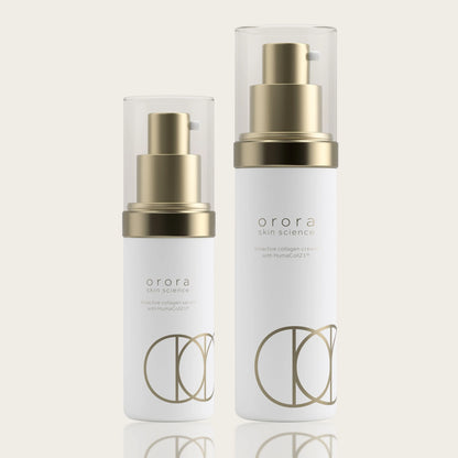 bioactive collagen system